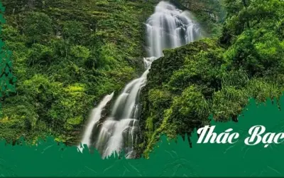 Thác Bạc – Kỳ quan thiên nhiên hùng vĩ giữa núi rừng Sapa