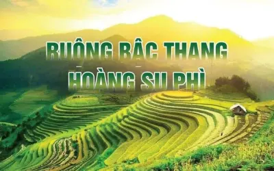 Ruộng bậc thang Hoàng Su Phì – Điểm đến mùa vàng rực rỡ