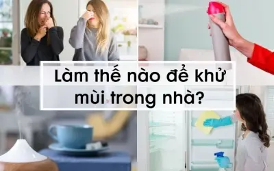 Làm thế nào để khử mùi trong nhà nhanh chóng, dễ thực hiện?