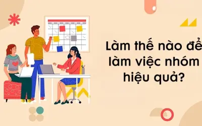 Làm thế nào để làm việc nhóm hiệu quả trong môi trường mới?