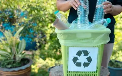 Làm thế nào để tái chế rác thải tại nhà để bảo vệ môi trường?