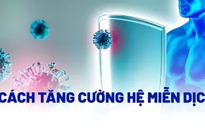 Làm thế nào để tăng cường hệ miễn dịch tự nhiên hiệu quả
