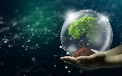 Liệu công nghệ có thể ngăn chặn biến đổi khí hậu toàn cầu