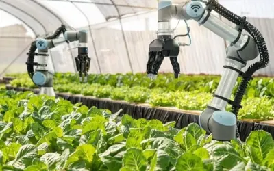 Tại sao robot nông nghiệp là xu hướng tất yếu của tương lai