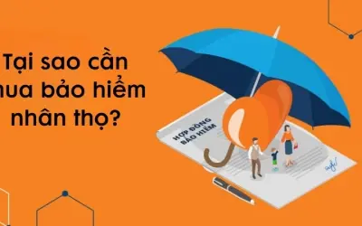 Tại sao cần mua bảo hiểm nhân thọ khi còn trẻ khỏe?