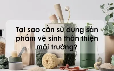 Tại sao cần sử dụng sản phẩm vệ sinh thân thiện môi trường?