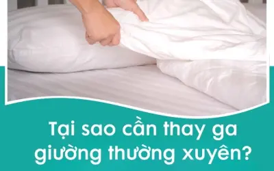 Tại sao cần thay ga giường thường xuyên và lợi ích thực tế?