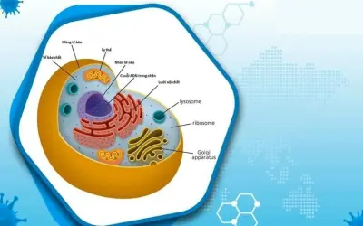 Tế bào là đơn vị cơ bản của sự sống phải không?