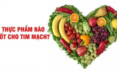 Thực phẩm nào tốt nhất cho sức khỏe tim mạch mỗi ngày?