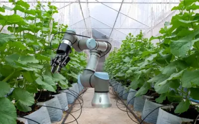 Công nghệ AI trong nông nghiệp thay đổi tương lai sản xuất