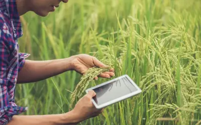 Công nghệ AR trong nông nghiệp giải pháp tối ưu sản xuất