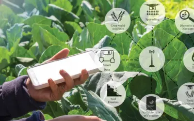 Công nghệ blockchain mở hướng mới cho nông nghiệp Việt Nam