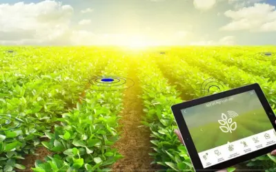 Công nghệ IoT trong nông nghiệp nâng cao hiệu quả sản xuất