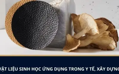 Xu hướng phát triển của vật liệu sinh học trong tương lai