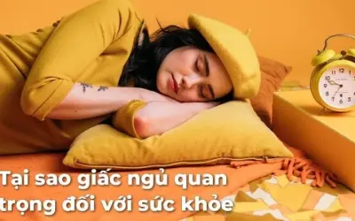 Giải mã tại sao giấc ngủ quan trọng đối với sức khỏe