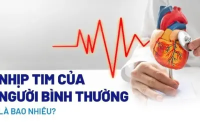 Nhịp tim nghỉ ngơi bình thường là bao nhiêu theo chuẩn y học