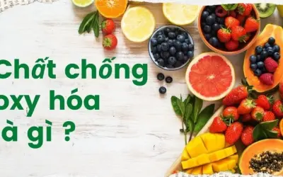 Chất chống oxy hóa ảnh hưởng gì đến cơ thể con người?