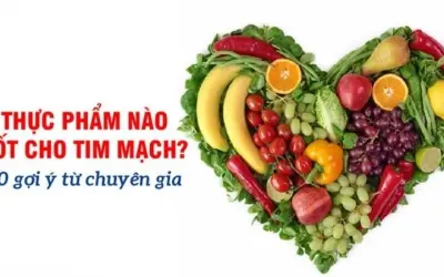 Top thực phẩm tốt nhất cho sức khỏe tim mạch bạn nên biết