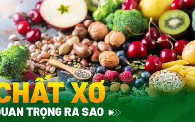 Tại sao cần bổ sung chất xơ trong chế độ ăn hàng ngày