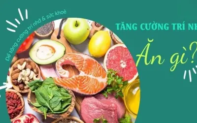 Thực phẩm nào giúp tăng cường trí nhớ và sức khỏe não bộ
