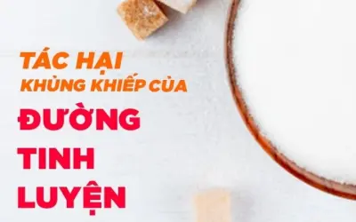 Tại sao đường tinh luyện có hại cho sức khỏe toàn diện