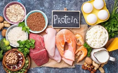 Tại sao cần bổ sung protein trong chế độ ăn mỗi ngày?