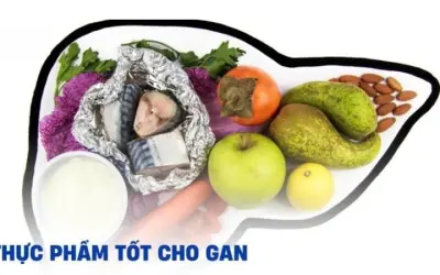 Danh sách thực phẩm cải thiện sức khỏe gan bạn cần biết