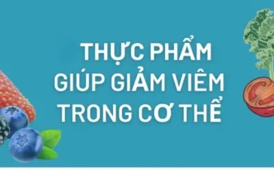 Thực phẩm nào giúp giảm viêm hiệu quả trong cơ thể?