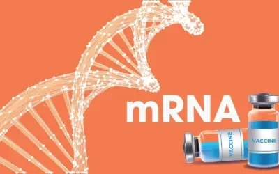 Vắc-xin mRNA có thật sự hiệu quả trong y học hiện đại?
