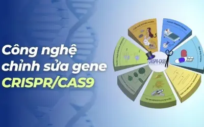 Công nghệ chỉnh sửa gen CRISPR được dùng để làm gì?
