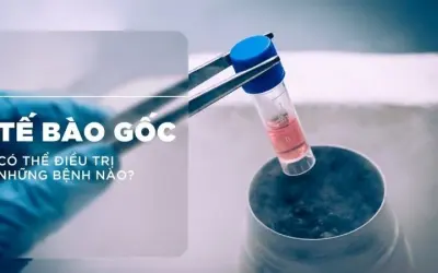 Tế bào gốc trong y học tái sinh giúp chữa lành bệnh gì