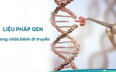 Liệu pháp gen có thể chữa khỏi bệnh di truyền không?
