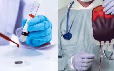 Công nghệ tạo máu nhân tạo trong y học tổng hợp hiện đại