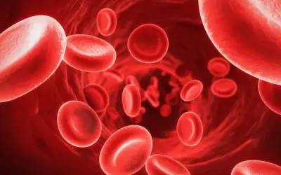 Giải pháp cải thiện tuần hoàn máu từ chuyên gia tim mạch