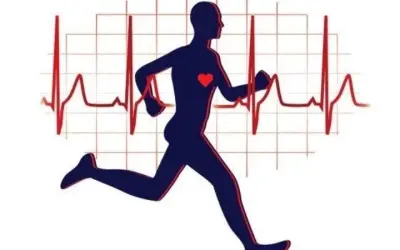 Tại sao tập thể dục có lợi cho sức khỏe tim mạch?