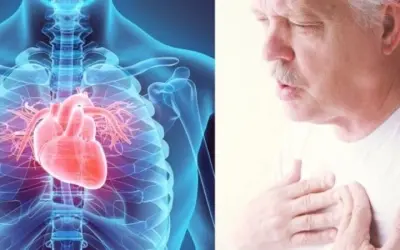 Lý do tại sao bệnh tim thường gặp ở người lớn tuổi?