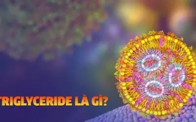 Làm sao để giảm triglyceride trong máu hiệu quả nhất?