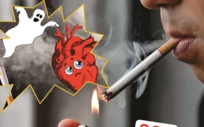 Vì sao hút thuốc dễ gây bệnh tim mạch nguy hiểm?