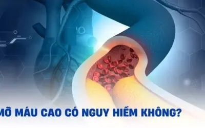 Tại sao mỡ máu cao lại nguy hiểm cho cơ thể con người?