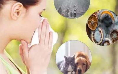 Dị ứng ảnh hưởng hô hấp thế nào? Hiểu để phòng tránh