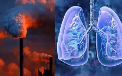Không khí ô nhiễm ảnh hưởng đến phổi như thế nào?