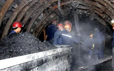 Mối liên hệ giữa bệnh phổi và môi trường nghề nghiệp