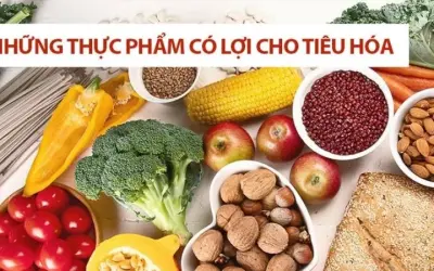 Ăn gì để cải thiện hệ vi sinh đường ruột khỏe mạnh?