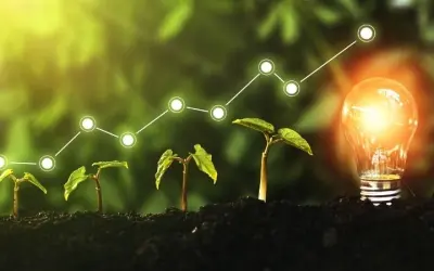 Bí ẩn gì khiến carbon capture chưa hiệu quả như mong đợi