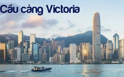 Trải nghiệm tuyệt vời tại Cầu cảng Victoria Hong Kong