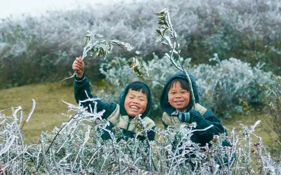 Vẻ đẹp mùa đông lạnh Yên Bái giữa núi rừng hoang sơ