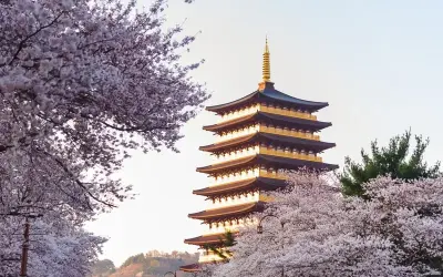 Khám phá Gyeongju – Thành phố di sản cổ kính của Hàn Quốc