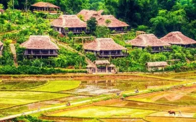 Ngắm ảnh mùa thu đồng lúa Hòa Bình vàng óng yên bình