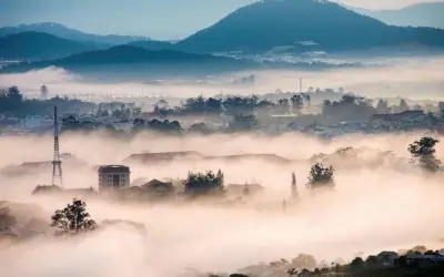 Ảnh mùa đông sương mù Đà Lạt mờ ảo và đầy quyến rũ