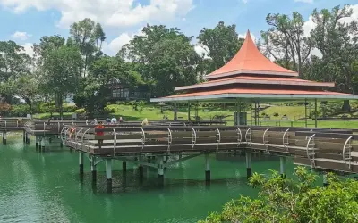 MacRitchie Reservoir - Địa điểm du lịch sinh thái nổi bật